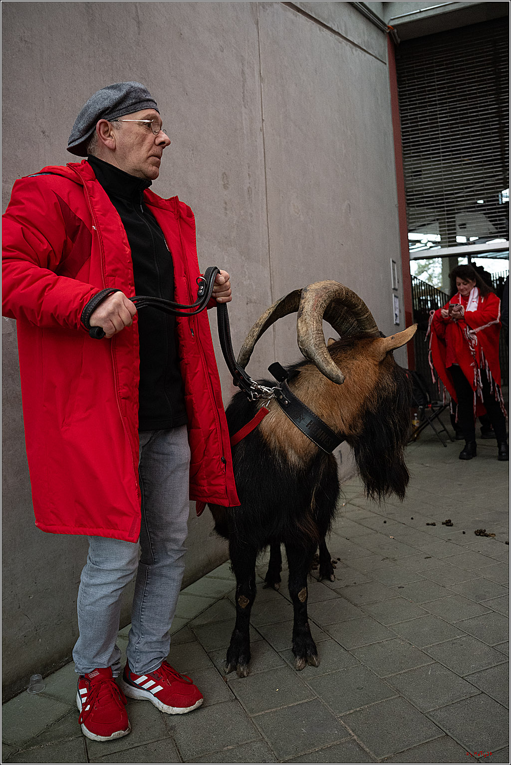 2. Fussball Bundesliga, 1.FC Köln - SV 07 Elversberg, 25.01.2025